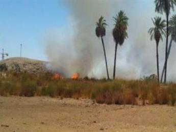 النيران تلتهم عشرات الأمتار من الحشائش اليابسة والقصب بالأغواط