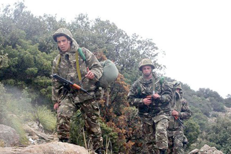 تدمير 11 لغما وقنبلة تقليدية الصنع بتبسة وتيزي وزو والبويرة