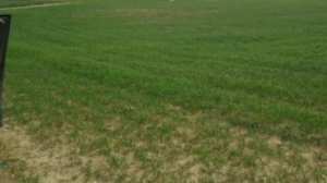 عملية تطهير العقار الفلاحي تستهدف 167.000 هكتار بورقلة