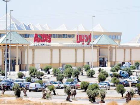 les centres commerciaux géants se multiplient                                    Ils vont changer le mode de consommation