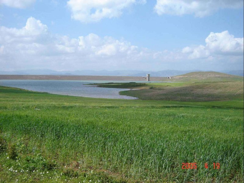 عين الدفلى.. ولاية فلاحية بامتياز