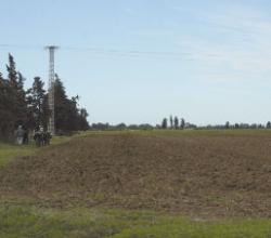 العشرات من أصحاب أراضي العنبة يحتجون بمقر ولاية تبسة