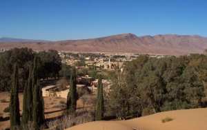 اختيار ولاية النعامة لتخصص تحويل المواد الزراعية والغذائية