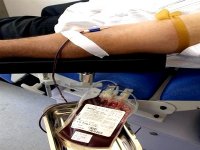 La FADS appelle les Algériens à faire don de leur sang