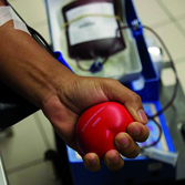 La FADS appelle les Algériens à faire don de leur sang                                    A l'occasion u mois sacré