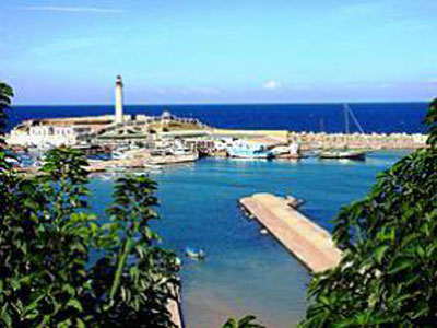 Projet du port d'El Hamdania à Cherchell