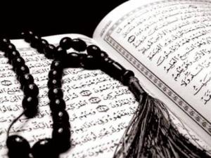 Comment la communauté «Lis» doit renaître de ses cendres '                                    Contributions : les autres articles