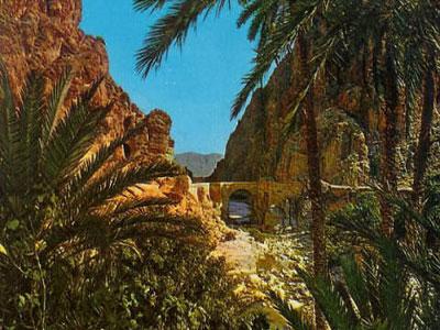 Des potentialités en quête d'exploitation                                    Certaines wilayas peuvent devenir des pôles économiques par excellence