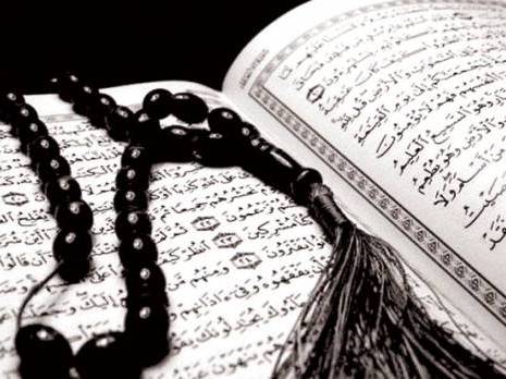 Comment la communauté «Lis» doit renaître de ses cendres '                                    Contributions : les autres articles