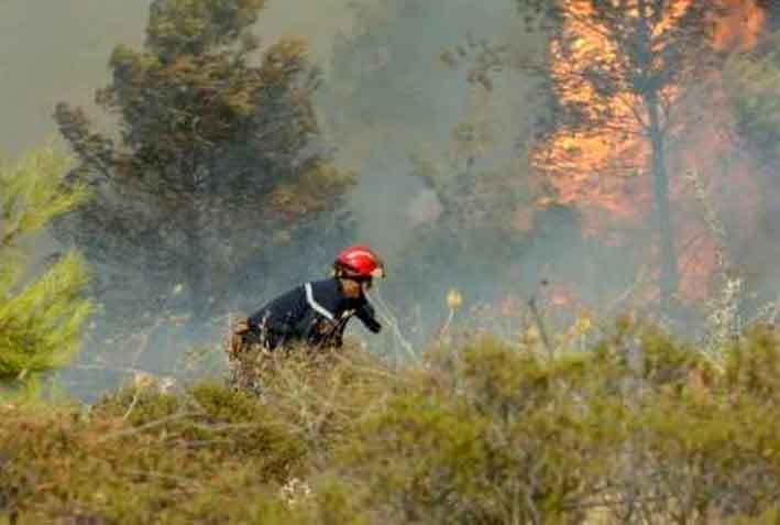 Incendies de forêts