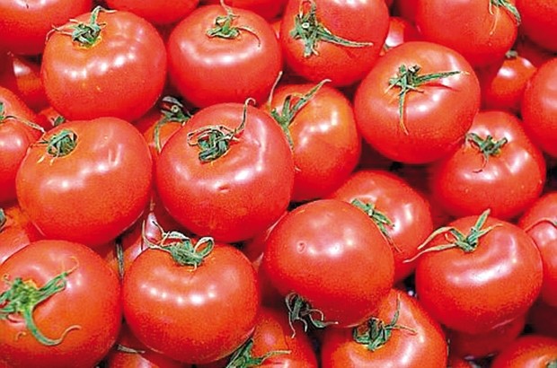 Hausse exagérée des fruits et légumes dans l'Oranie