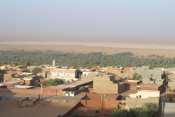 الإسمنت يقضي على ما تبقى من مساحات خضراء بأدرار