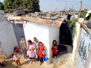 Felloudja, le bidonville aux serpents                                    Il est situé dans la commune d'El Harrach