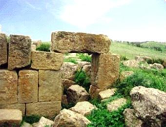 منطقة رابيدوم الأثرية بالمدية: موقع تاريخي نفيس على الهامش                                    يرجع تأسيسها إلى سنة 16 بعد الميلاد