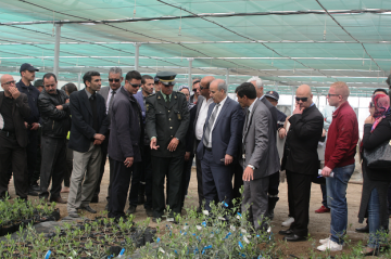 الصناعة الغابية بقسنطينة ... تركيز على السياحة الخضراء