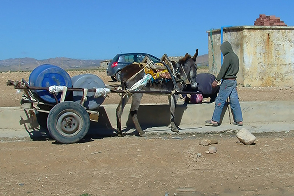 القداشي بالوادي .. القرية المنسية