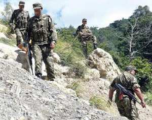 Les maquis de l'Est au peigne fin