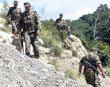 Les maquis de l'Est au peigne fin