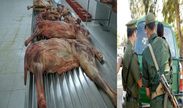درك سكيكدة يحبط محاولة لتسويق لحوم الحمير