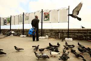 العاطفة و الزردات  لنيل الأصوات بإيليزي