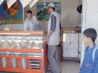 Djelfa                                    Plus de 200 quintaux de poulet en voie de pourrissement