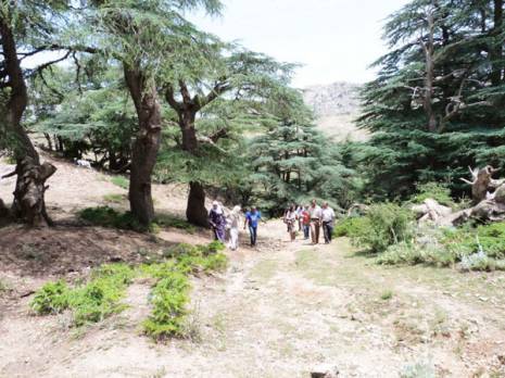 Parc National du Djurdjura : une destination écotouristique à promouvoir                                    Bouira : les autres articles