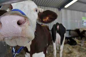 تدابير وقائية ببرج بوعريريج للحد من العدوى