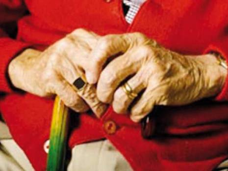 une autre piste pour l'espoir                                    Lutte contre la maladie d'Alzheimer