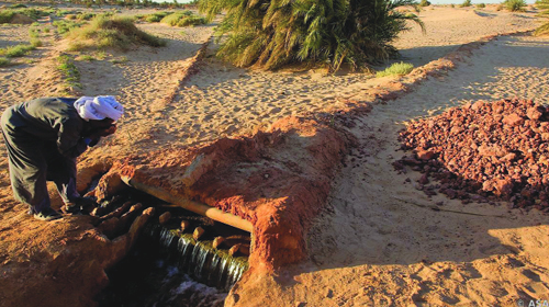 L'Algérie abritera le centre de l'Unesco