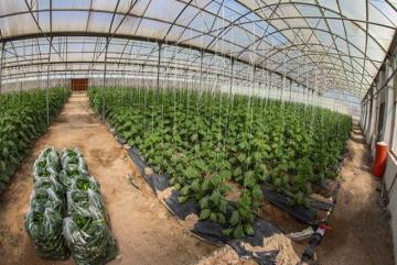 الأمين العام لولاية البويرة يرافع لدعم المنتوج الوطني ومحاربة كل أشكال الاحتكار والمضاربة