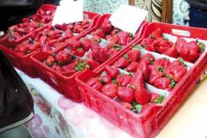 La production du fruit rouge en hausse