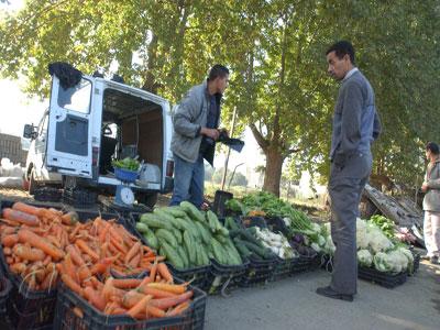 Les consommateurs entre impuissance de l'Etat et avidité des spéculateurs                                    A Tizi Ouzou