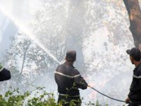 14 incendies durant la journée de jeudi                                    Tizi Ouzou