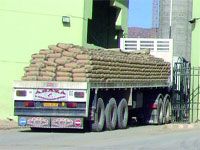 UN GRAND RESEAU A ETE DEMANTELE À HEDJAR-ESSOUD (SKIKDA)                                    33 entrepreneurs interpellés pour trafic de ciment