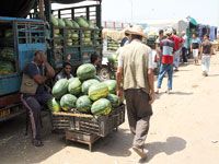 Politique de maîtrise des prix et de sauvegarde du pouvoir d'achat                                    Les 74 propositions de l'UGTA et du Cnes
