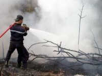 7 incendies provoqués par la vague de chaleur à Skikda