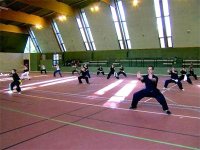 Kung Fu Wushu : le club 