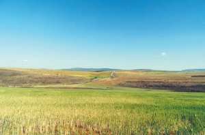 Les agriculteurs appréhendent la sécheresse