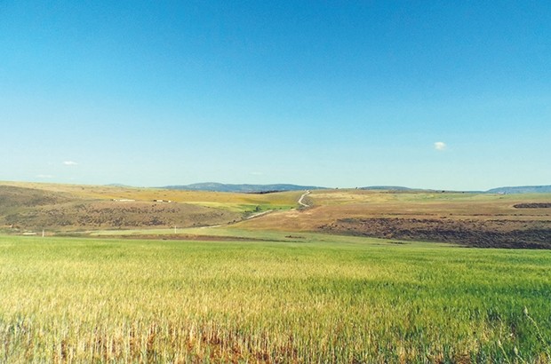 Les agriculteurs appréhendent la sécheresse