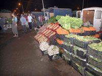 Virée au marché des fruits et légumes de Rovigo                                    Le gros dans le détail...