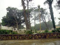 Investissements privés dans les forêts urbaines                                    Une vingtaine de demandes en attente à Oran