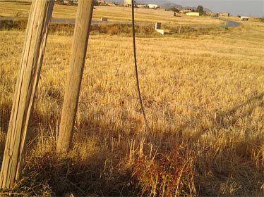 En Algérie, les usagers du téléphone pètent des câbles!