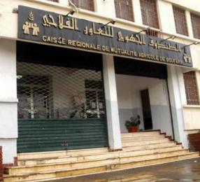 الصندوق الجهوي للتعاون الفلاحي بسطيف ينظّم أبوابا مفتوحة حول حرائق المحاصيل