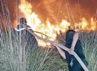 Incendies de forêts                                    Encore des dégâts