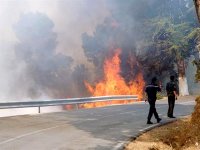 Feux de forêts : 76558 hectares ravagés en deux mois (protection civile)