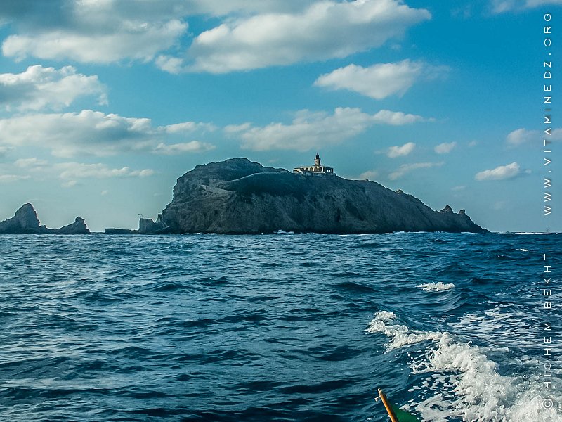 L'Ile Srigina de Skikda, Elle a tout d’une grande…