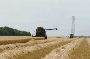 Protéger les récoltes des incendies