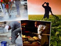 Ils jeûnent et travaillent dans des conditions pénibles Les moissons du Ramadhan