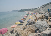 Manque de propreté et anarchie                                    Plages de la côte Est : tout ne baigne pas...