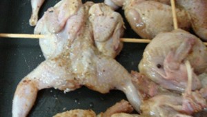 لحم طير السمان يثري أطباق المائدة بوهران